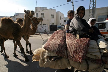 A Palestinian family fleeing Rafah picture gallery
