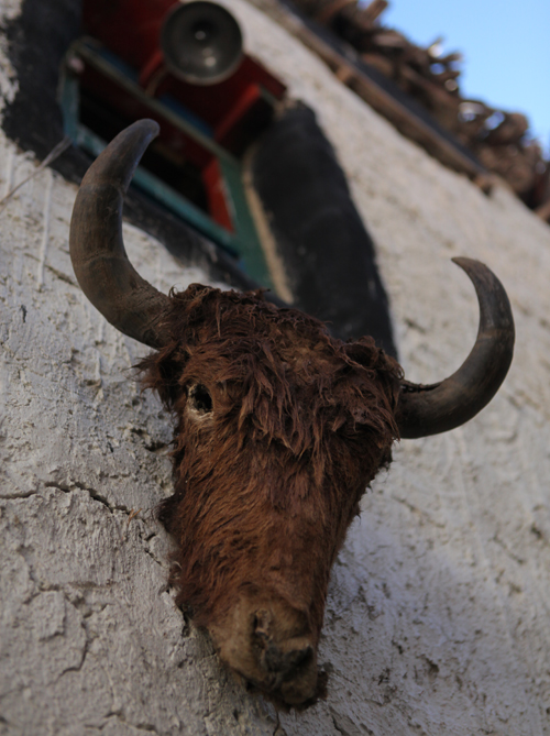 Al Jazeera Correspondent - Mustang