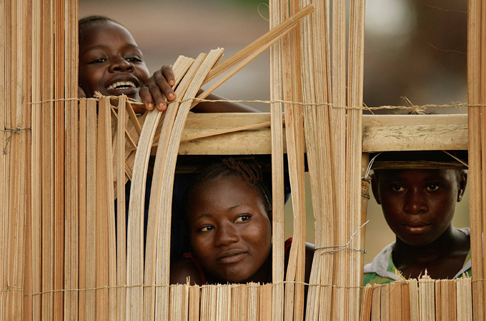 Africa Investigates - Sierra Leone: Timber!