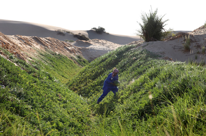 Egyptian Farmer