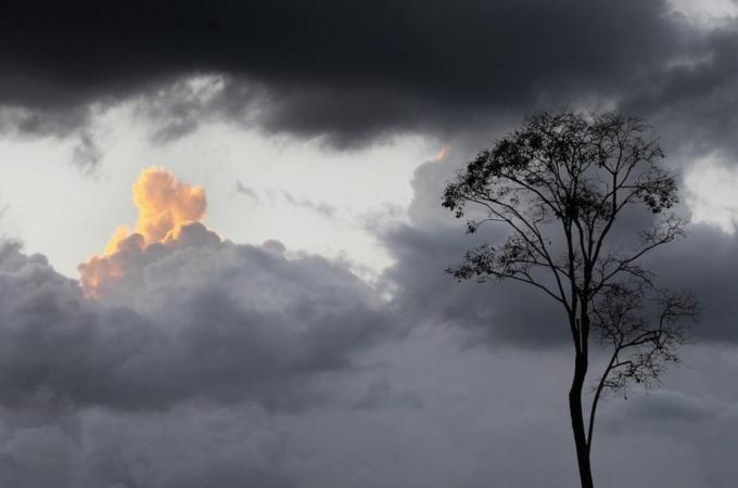 Brazil Faces Environmental Challenges in Amazon Ahead of Rio+20 Earth Summit