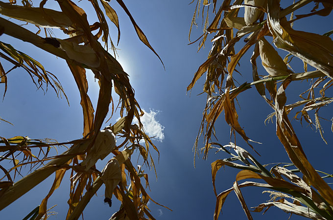 inside story americas - us drought, global food prices, crops
