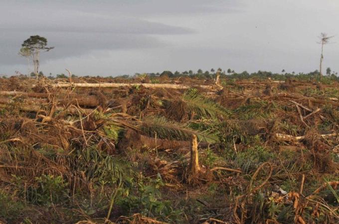 To match Feature SIERRALEONE-BIOFUELS/