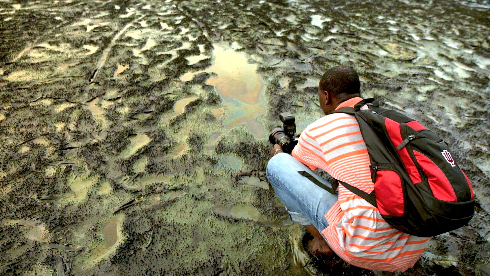 Artscape - The New African Photograph - George Osodi