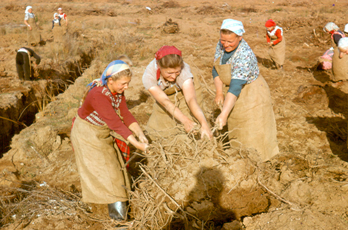 Police officer Luis Hernandez describes how some residents of the Colony were treated like slaves [Al Jazeera]