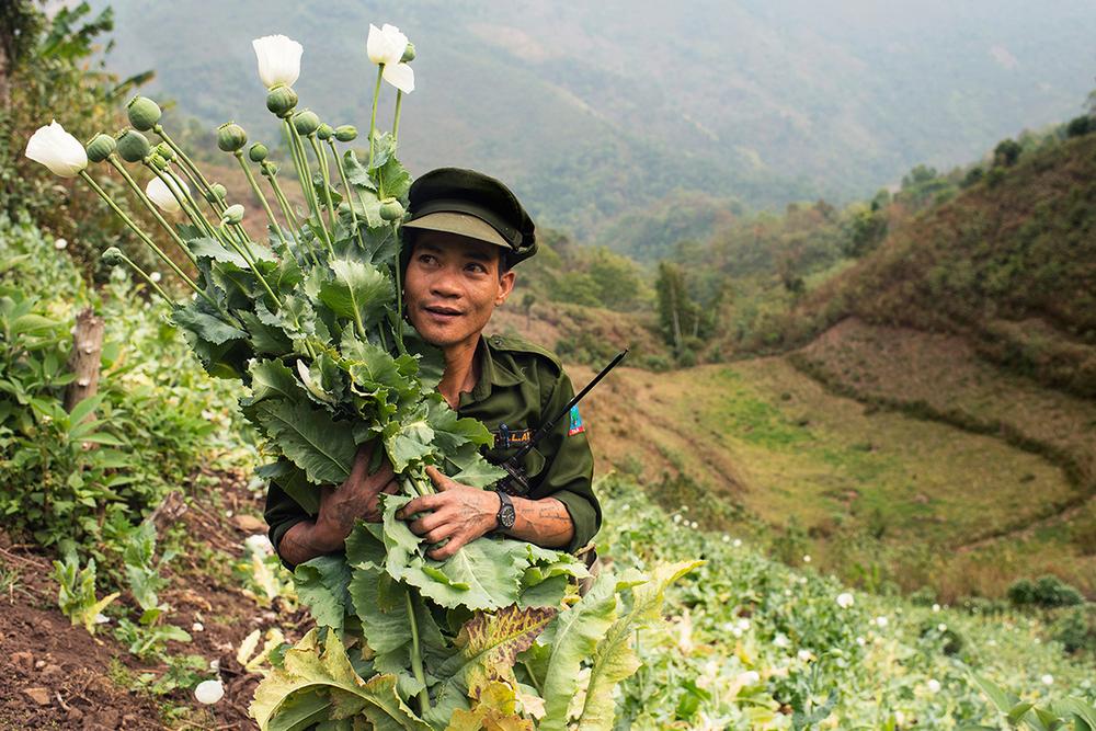 <p>An officer with the Tang National Liberation Army (TNLA) holds a bunch of poppy flowers. Fifteen soldiers under his command destroyed a field of poppy plants in 40 minutes.</p>