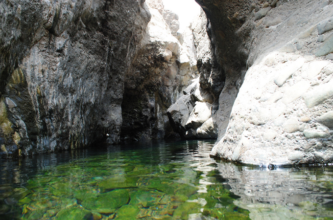 The water catchments in Wadi Wurayah are the only sources of year-round freshwater [Oliver Kerr/EWS-WWF]