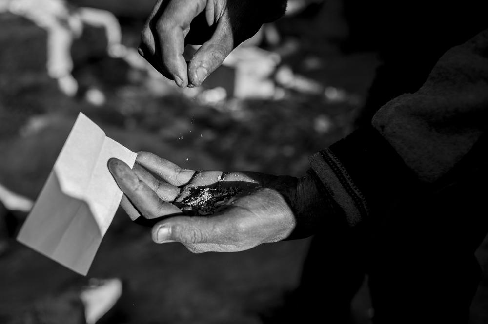 <p>A nyaope addict mixes cheap marijuana with tobacco in preparation of smoking the drug</p>