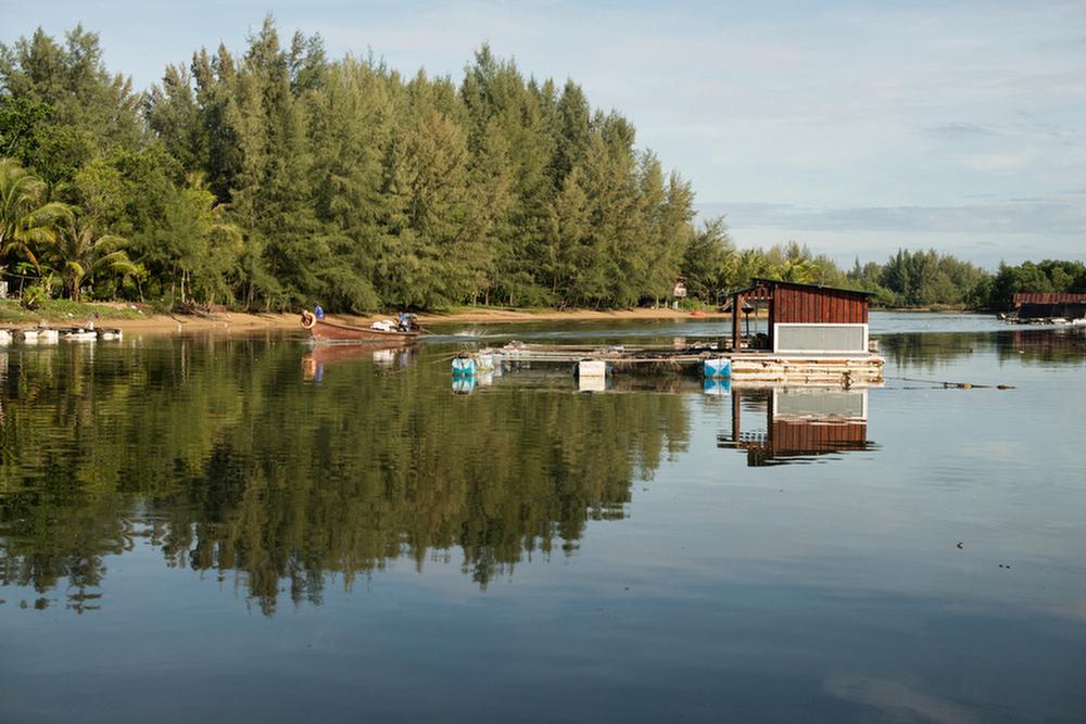 <p>View of the mangrove area <span lang="ES">around</span> Baan Nai Rai village, <span lang="ES">one of the Thai villages hit by the tsunami in 2004. The mangroves notably reduced the impact of the wave on the area. Now the villagers are trying to protect the area from turning into a tourist resort. </span></p>