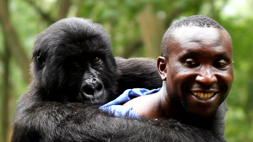earthrise - Tales from Virunga