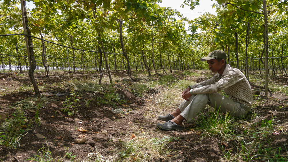 India suicides [Baba Umar/Al Jazeera]