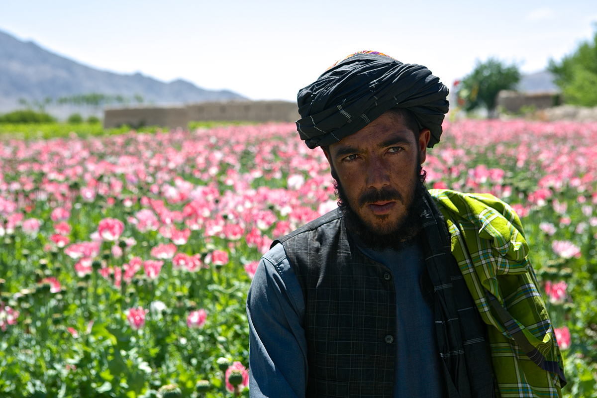 Afghanistan''s Billion Dollar Drug War