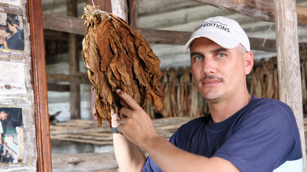 Ivan Rodriguez shows off tobacco leaves at the Chuchillas de Barbacoa plantation in western Cuba [Robert Kennedy/Al Jazeera]