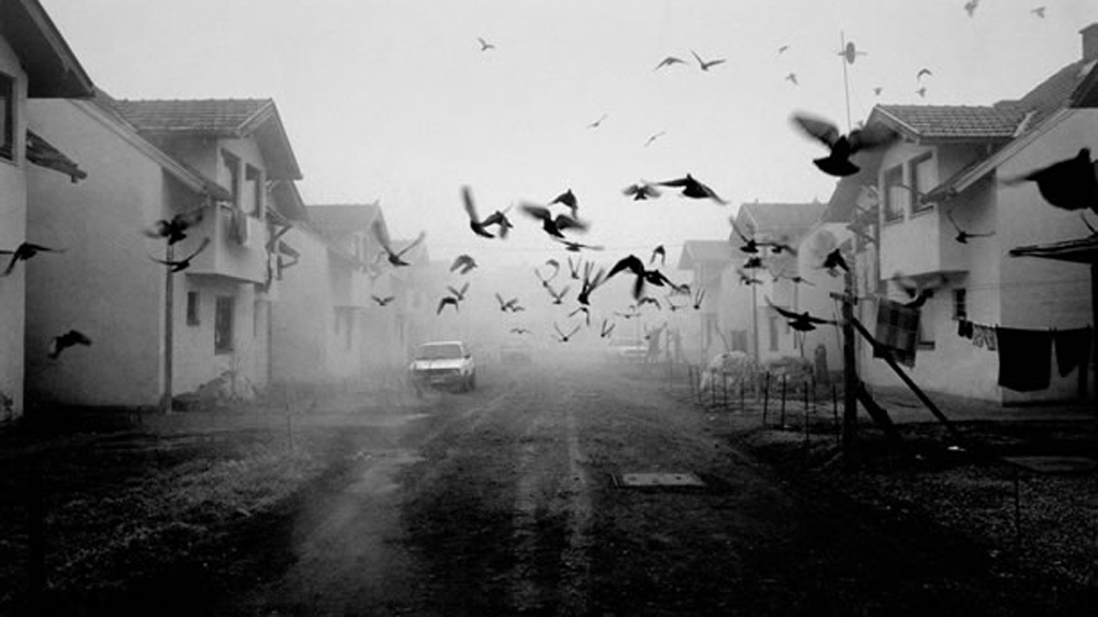 A Short Story: Song of the Silver Birds - Do not use by Tarik Samarah