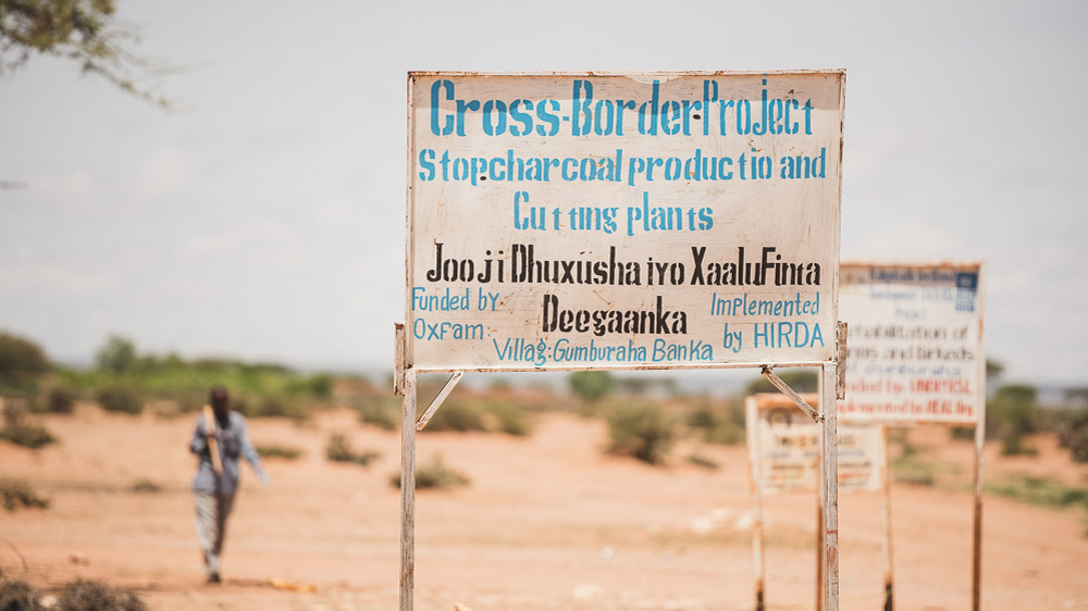 In times of drought especially, with few other options to earn a living, people turn to chopping down trees for charcoal production. Environmentalists, the Somaliland government and aid organisations have tried to discourage the practise as deforestation reduces water absorption, soil depth and grass cover in Somaliland. [Adrian Leversby/Awr Productions/Al Jazeera]