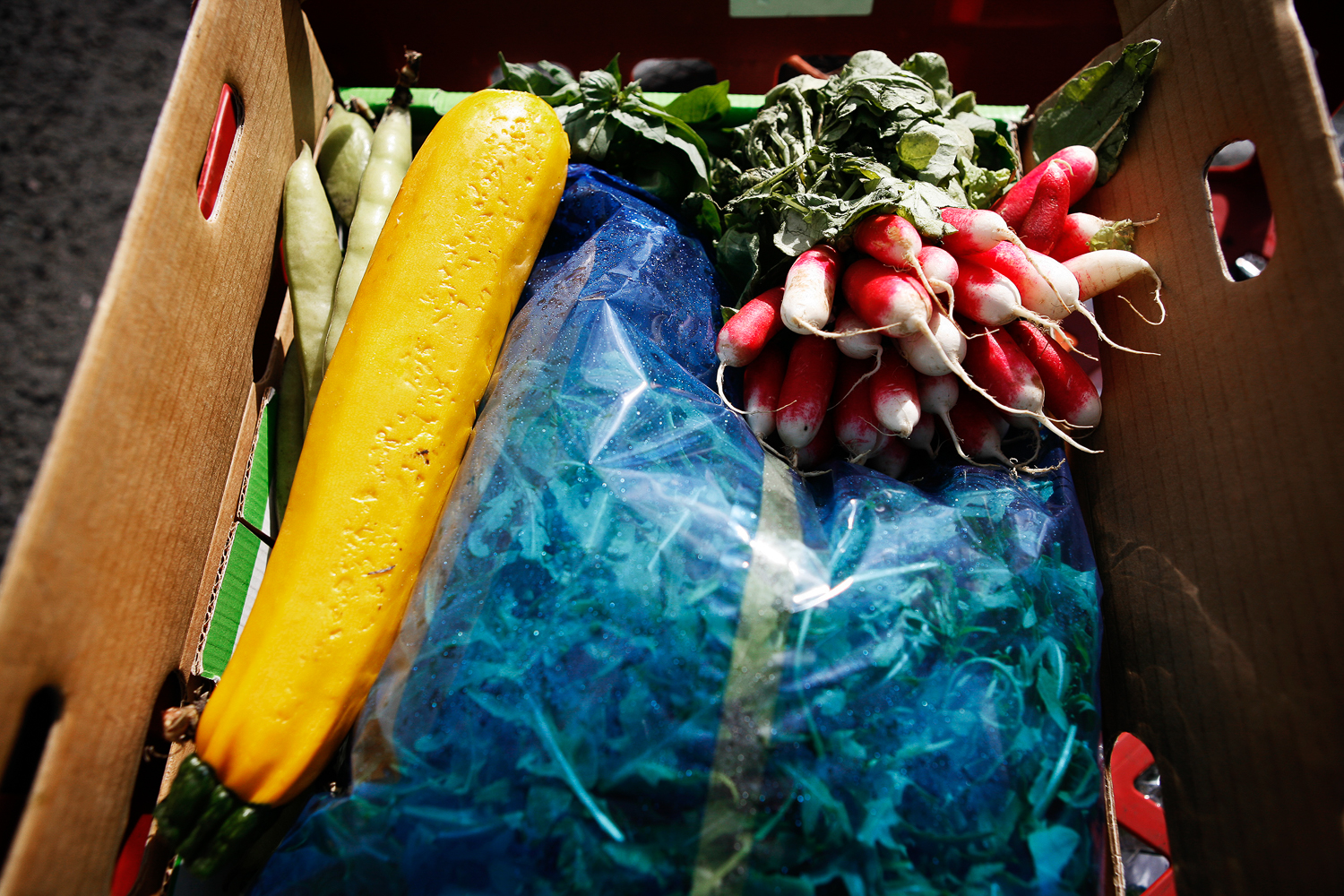 Silvia Boarini LONDON FOOD WASTE/ DO NOT USE/ RESTRICTED