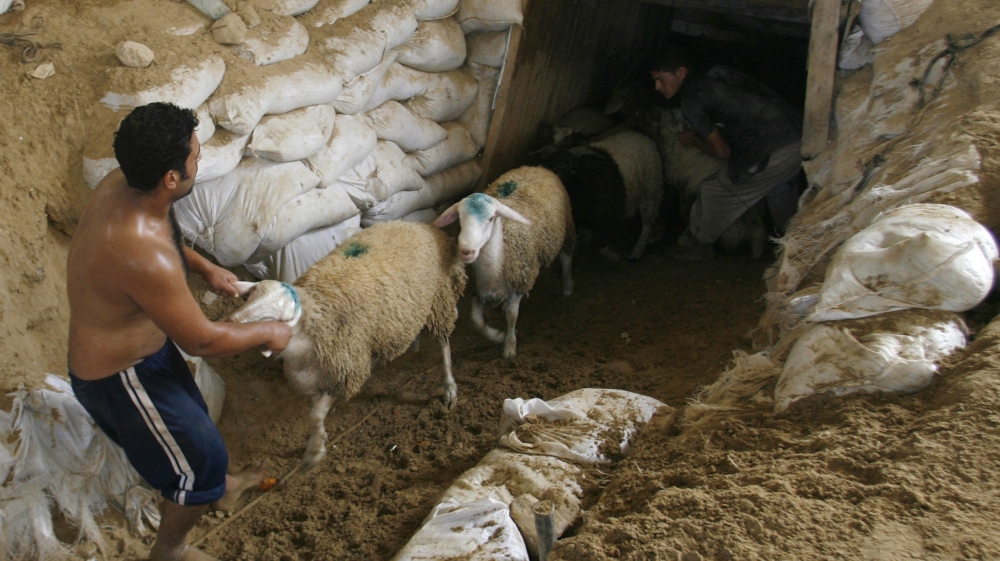 Palestinians in Gaza once relied on the tunnels to provide them with the most basic goods, including food and medicine [File: AP]