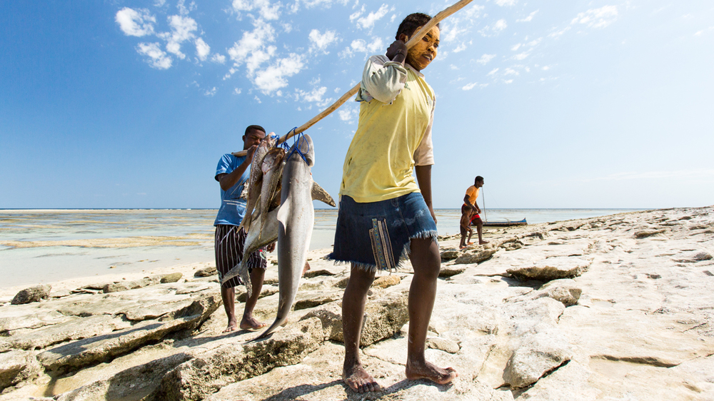 Often parents cannot afford to send children to school and the youngsters join the family fishing trade [Garth Cripps/Al Jazeera]