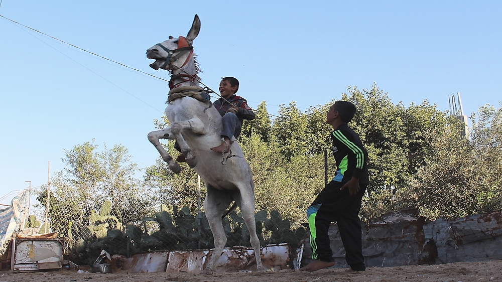 'Donkey is just called Donkey,' explains Wissam, but the brothers sometimes like to pretend he's a horse [Matthew Vickery/Al Jazeera]