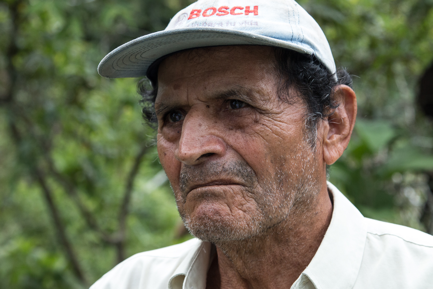 Chevron/ DO NOT USE/ RESTRICTED