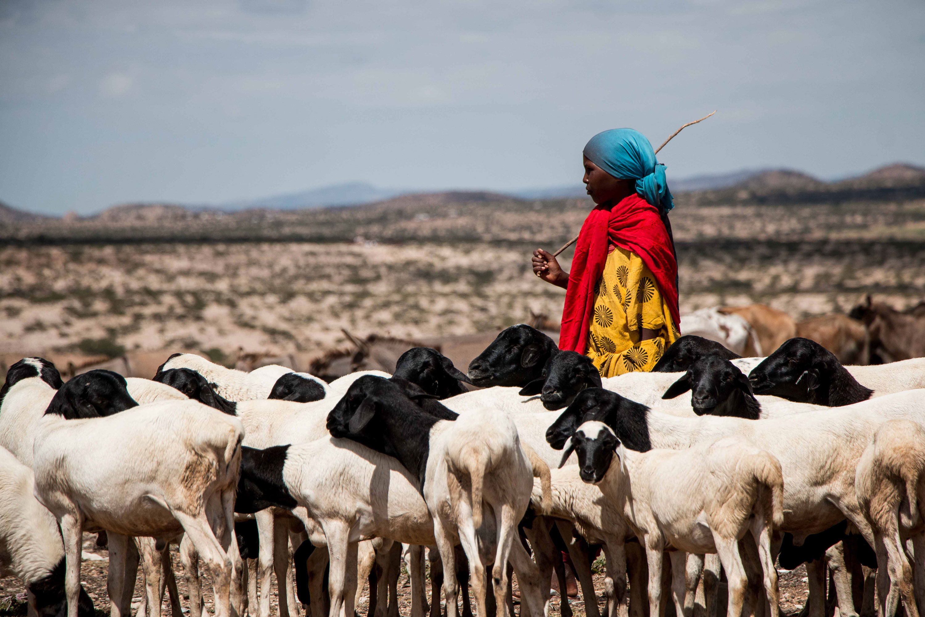 Please Do Not Use/ Somaliland