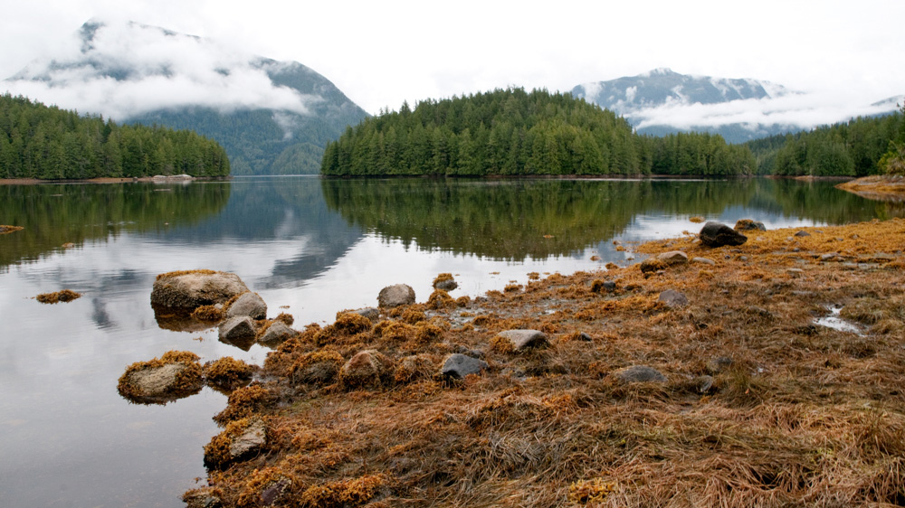 Controversy over bear trophy hunting has raged on and off for decades, but has now reached an all-time high [John Zada/Al Jazeera]