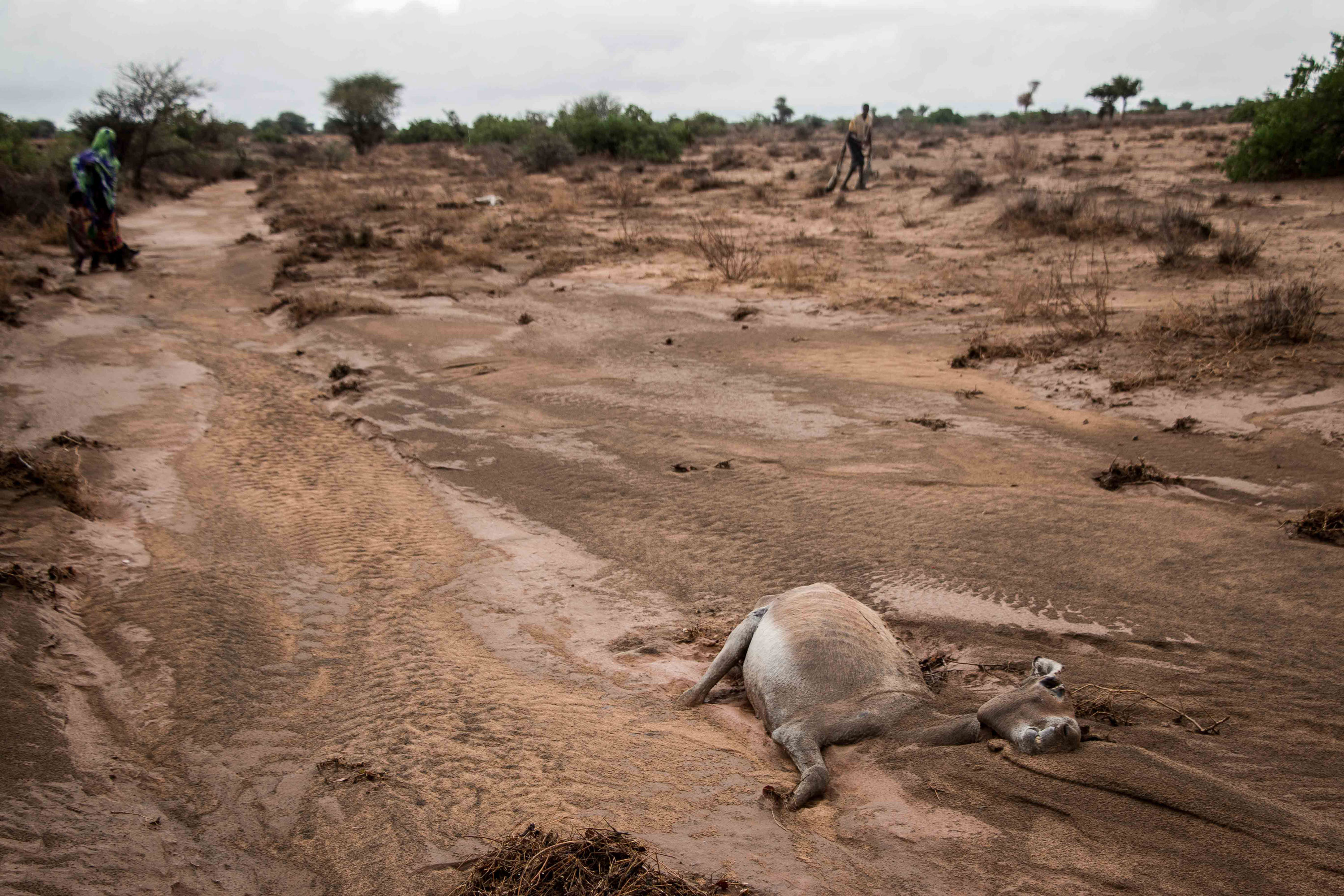 Please Do Not Use/ Somaliland