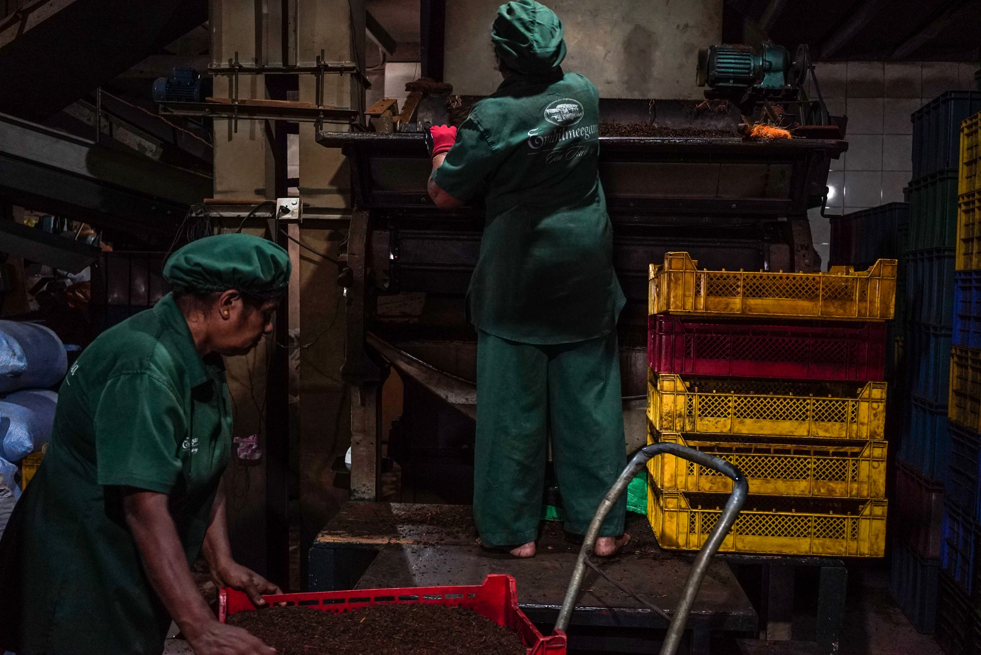 Tracing the origins of the world’s most popular beverage.[Sorin Furcoi/Al Jazeera]