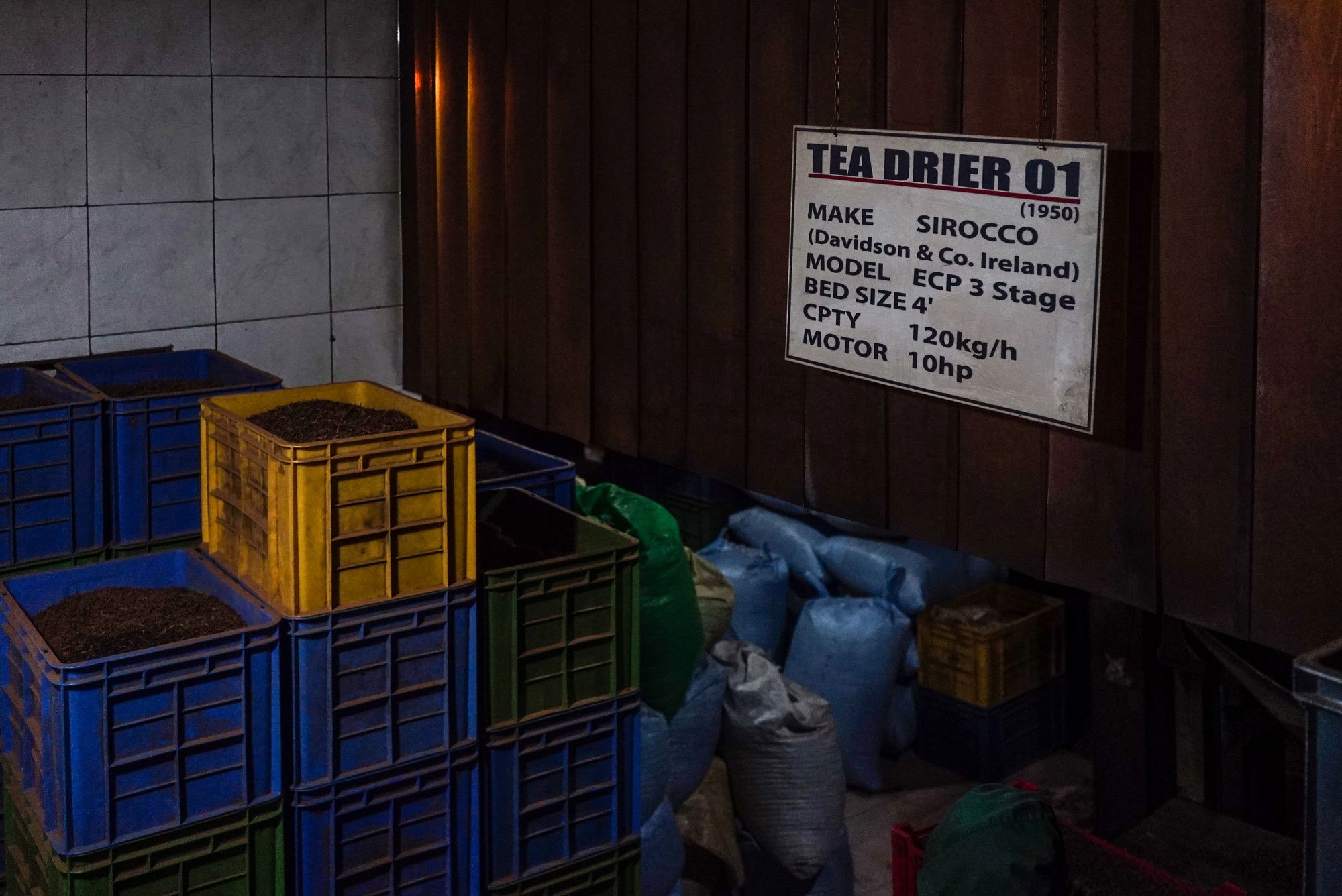 Tracing the origins of the world’s most popular beverage.[Sorin Furcoi/Al Jazeera]