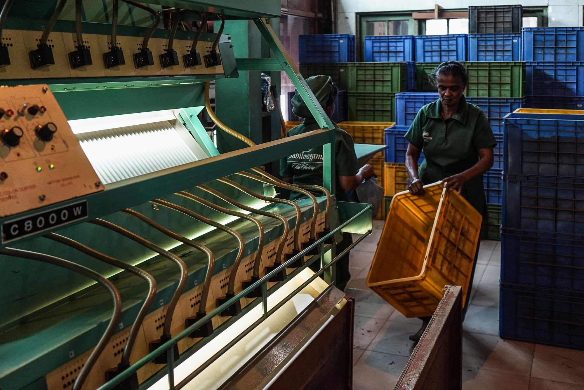 Tracing the origins of the world’s most popular beverage.[Sorin Furcoi/Al Jazeera]