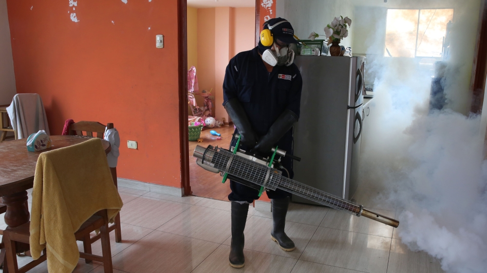Peru zika virus