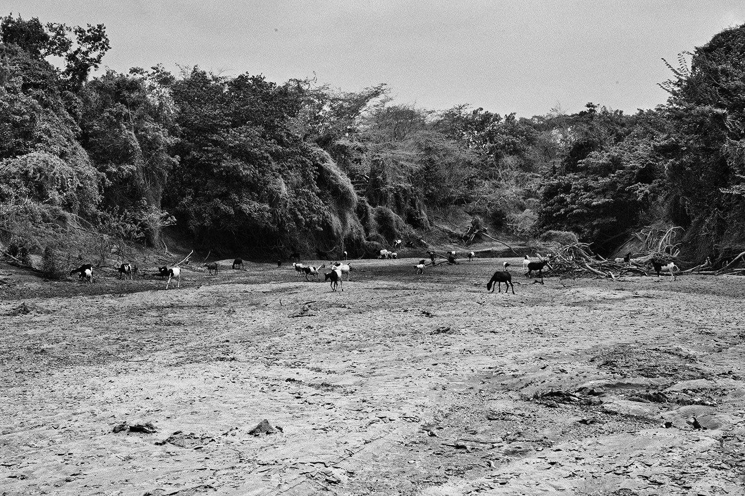 Please Do Not Use/Abandoned Wayuu People