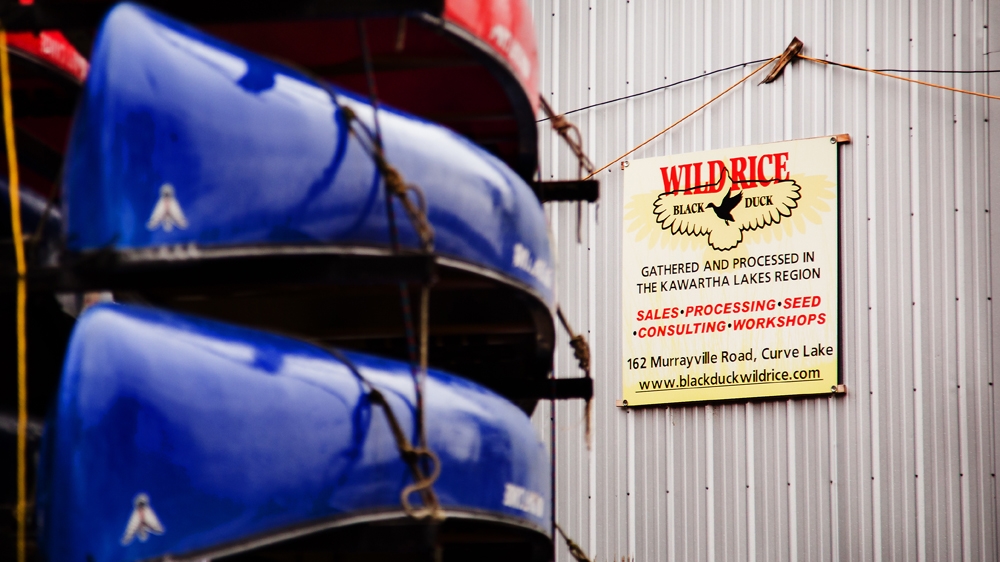 'I have that fleet of canoes, and I take people out when they want to learn about wild rice,' says Whetung [Ryan Edwardson/Al Jazeera] 