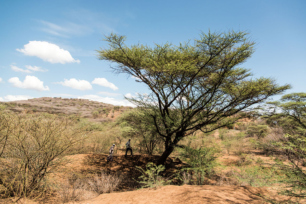 Dripping Gold: On the Hunt for Honey in Kenya/ Please Do Not Use