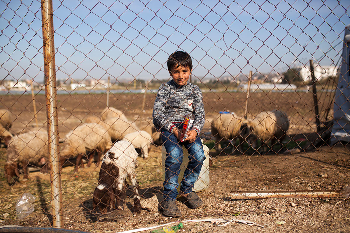 Syria’s future unknown/ Please Do Not Use