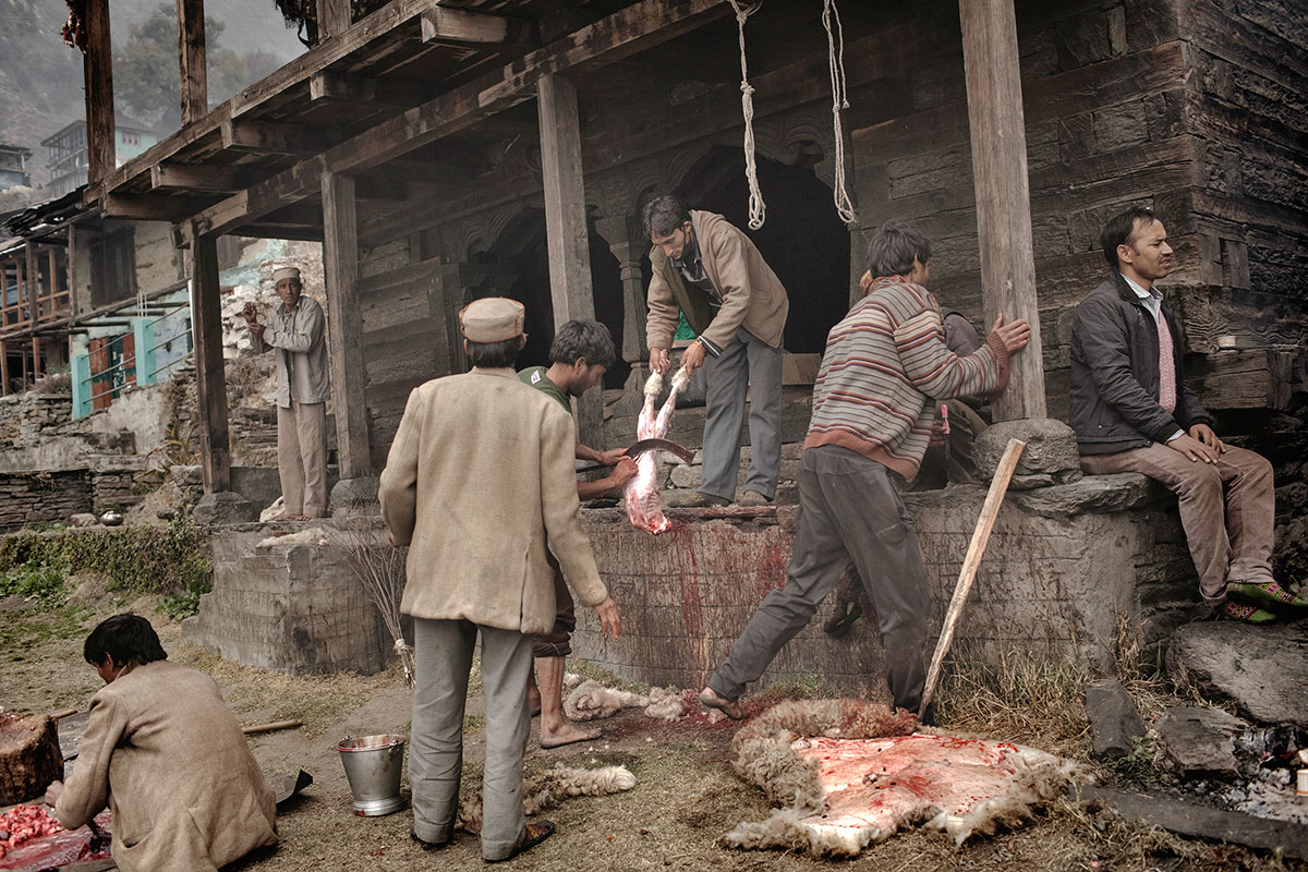 Indian cannabis farmers/ Please Do Not Use