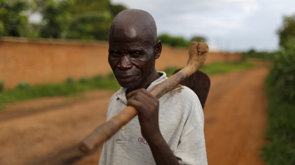 Subsistence farmer Nelson Sikanawawe walks through his field of maize after late rains near Malawi''s capital Lilongwe
