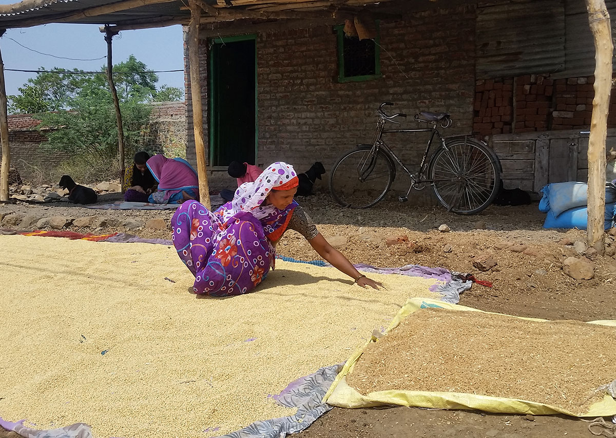 Drought in India''s Marathwada region