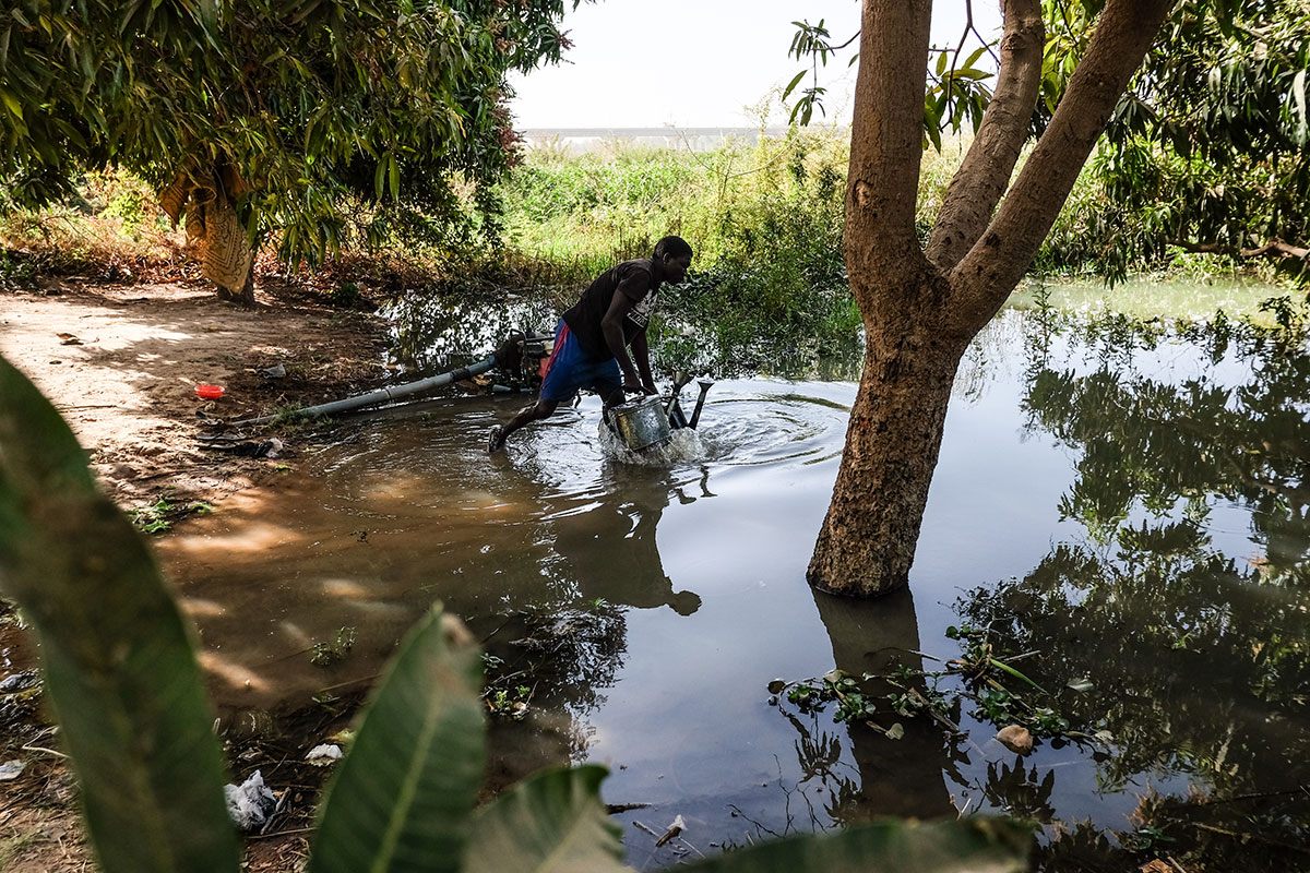 Current Life on the Niger River/ Please Do Not Use