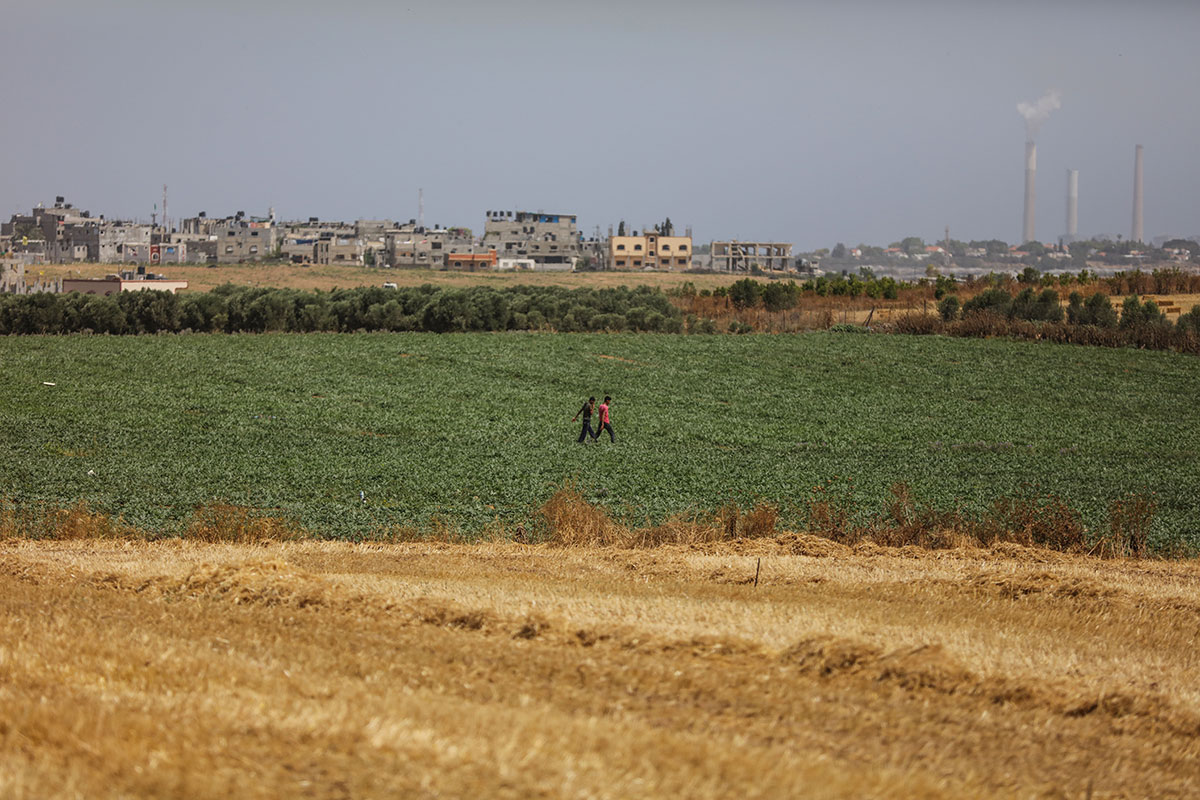 Gaza farmers working on borders with Israel/ Please Do Not Use