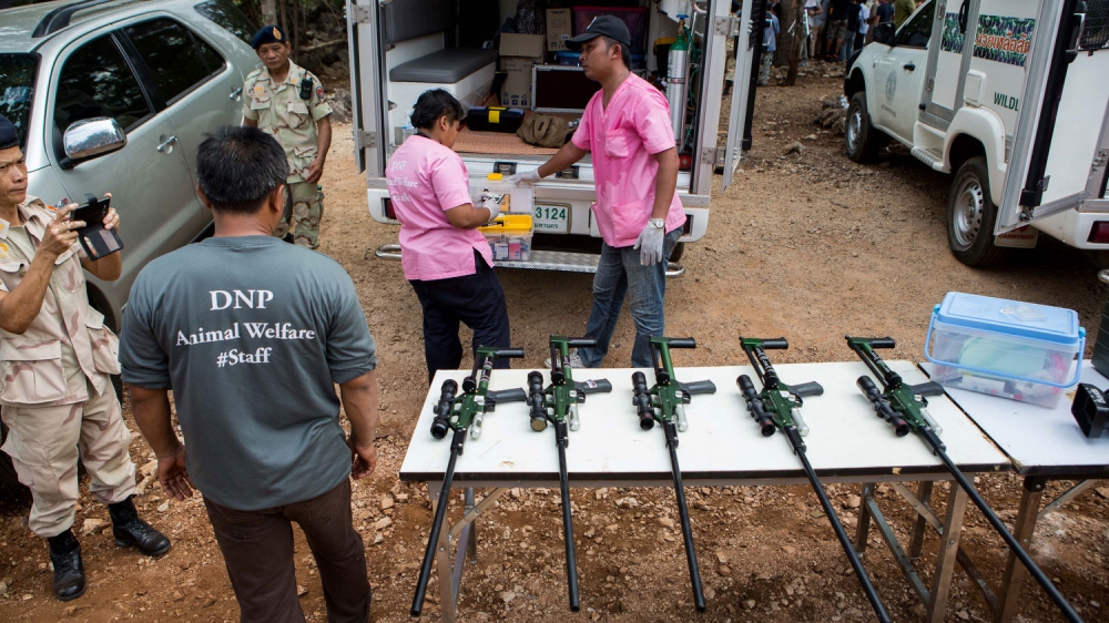 More than 500 officers, wildlife officials, vets and police were present at the raid. Tranquilizer guns were prepared to sedate the tigers before relocation [Amanda Mustard/Al Jazeera]