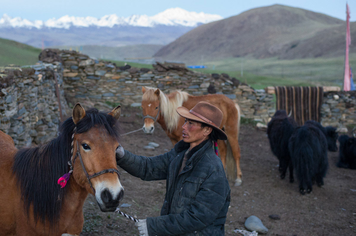 On the Road to Tibet/ Please Do Not Use