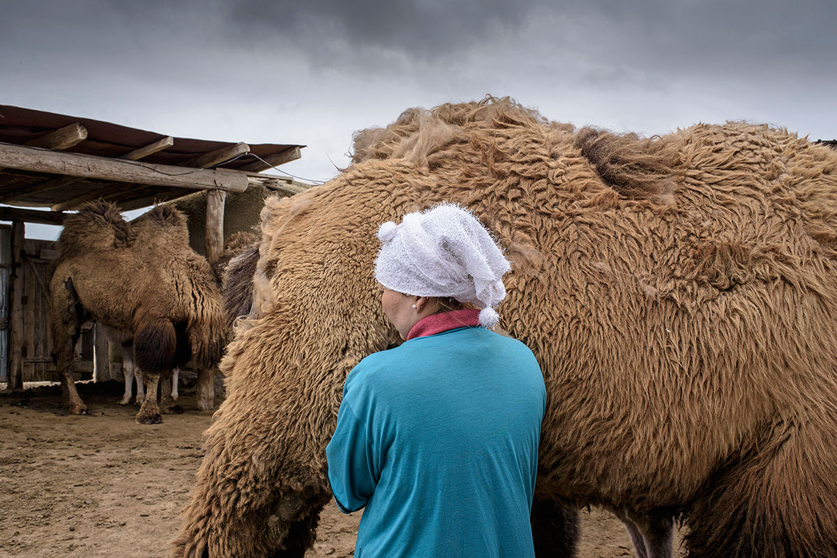 Aral sea portfolio/Please Do Not Use