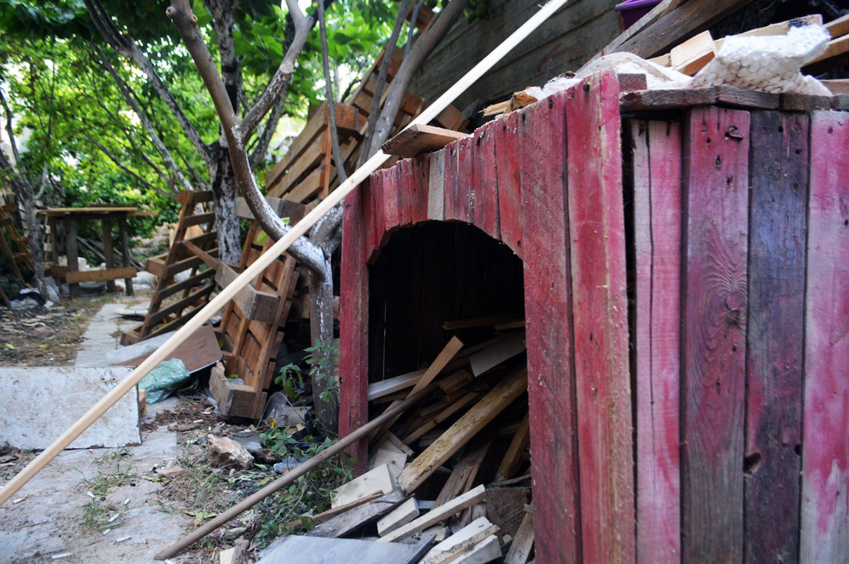 Palestinian artists /Please Do Not Use