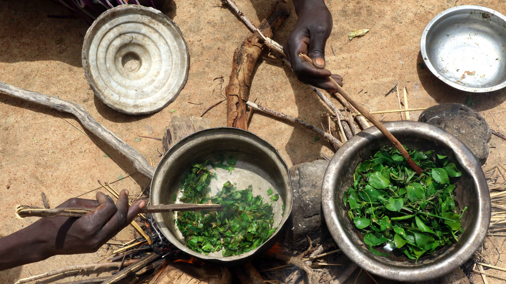 A group of women gather to cook a pot of leaves for lunch [Simona Foltyn/Al Jazeera]