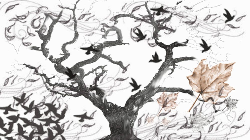 Jawahir''s illustration