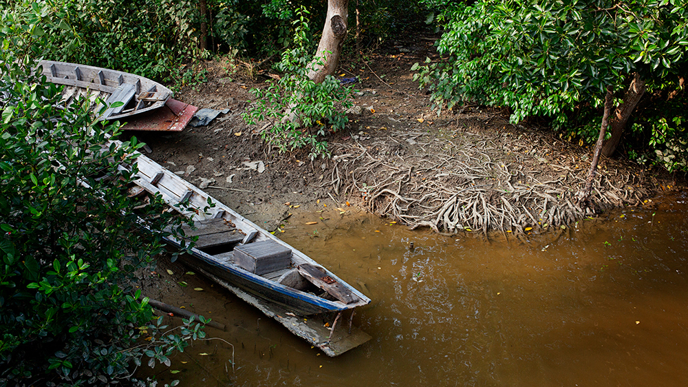 Shrimp farms have been linked to the net loss of mangroves in countries like Thailand [Antolin Avezuela Aristu/Al Jazeera]