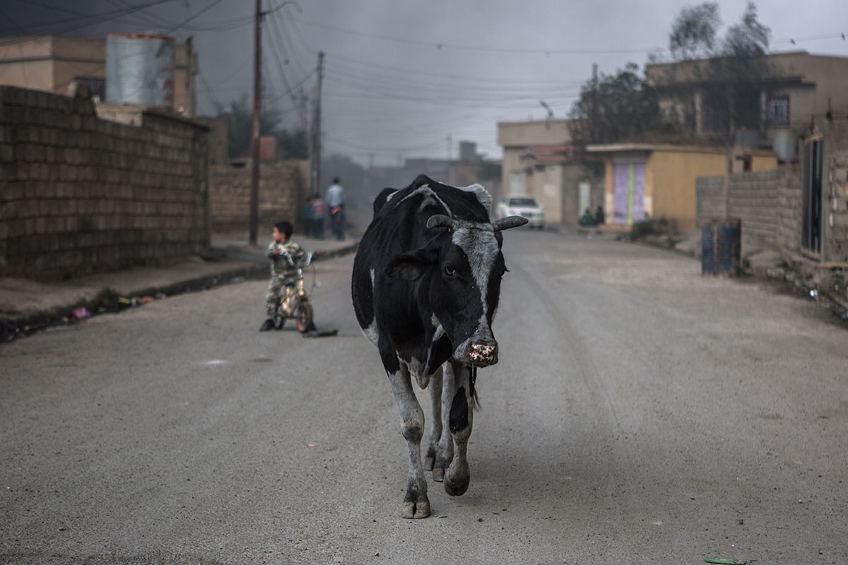 Qayyarah, Iraq - Closer look at the Oil Well fires / Please Do Not Use