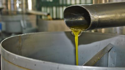 
Inside Beit Jala's olive press cooperative, many customers come to press olives from the Cremisan Valley [Sheren Khalel/Al Jazeera]
