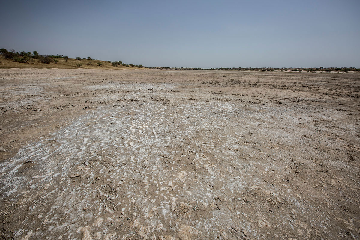 Fishing in Lake Chad/ Please Do Not Use